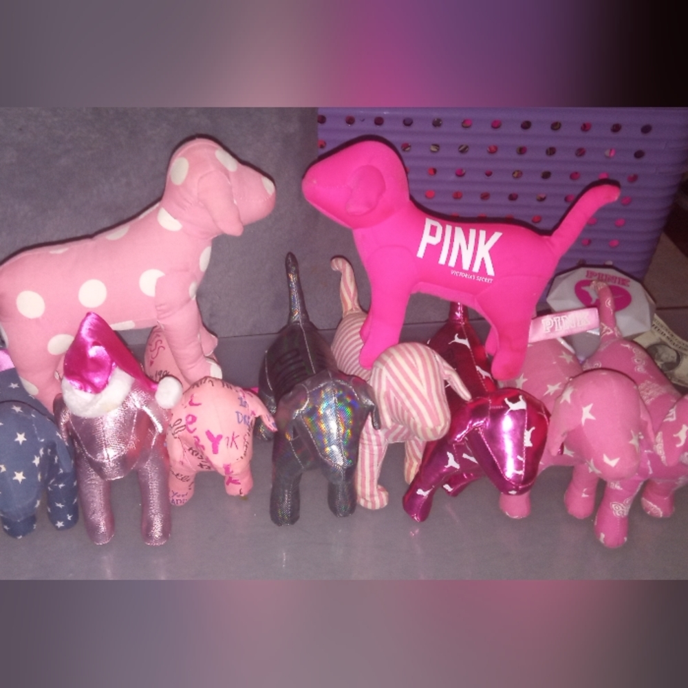 VS 10 reg  sized dogs and push lamp